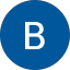 Brian L. Avatar