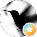 Monica M. Avatar